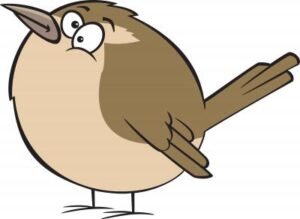 Drawing of a cute bird  - Page is about birds hitting clean windows