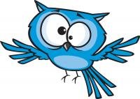 color drawing of a blue bird